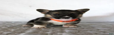 Hugo