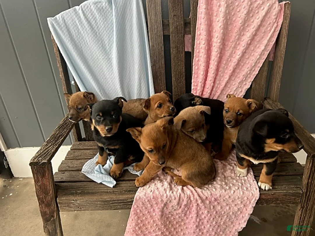 Gallery Image {{count}}