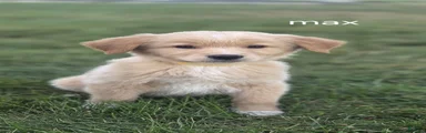 Max 