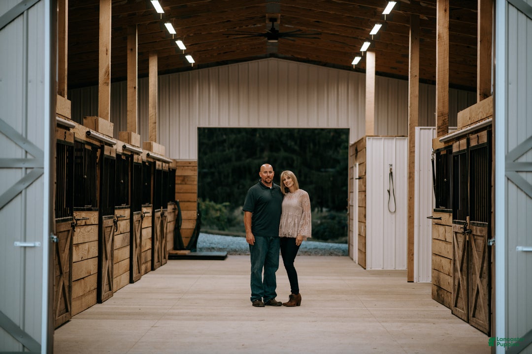 Gallery Image {{count}}