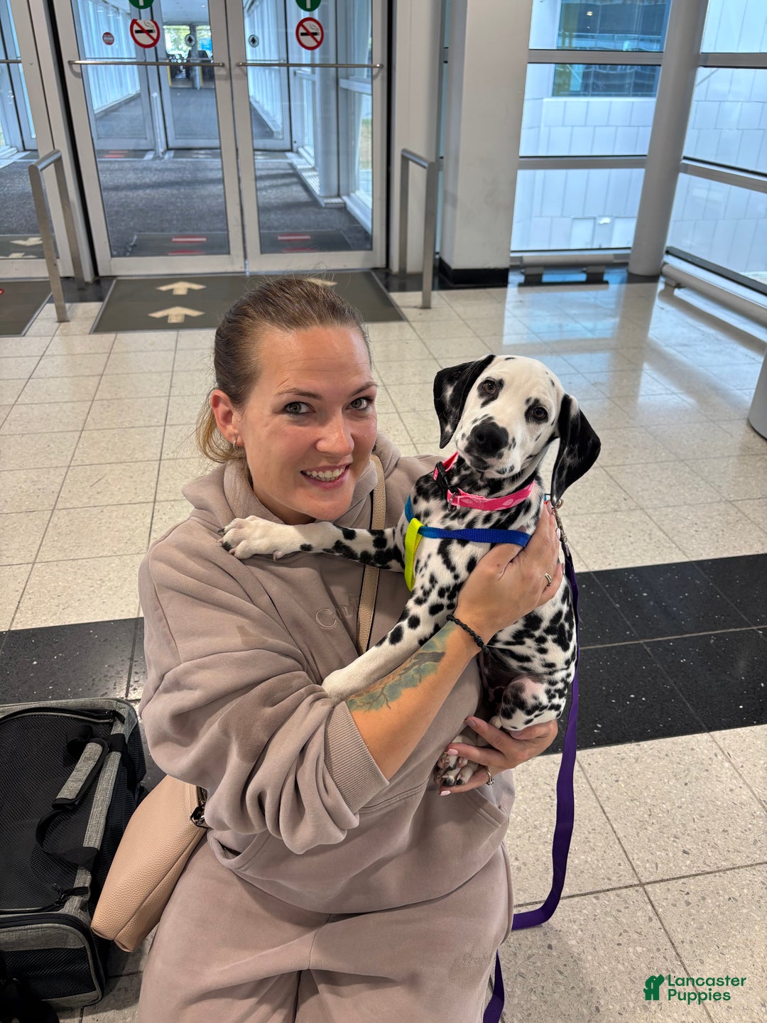 Gallery Image {{count}}