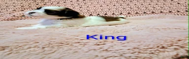 King 