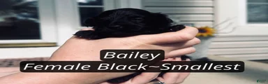 Bailey 