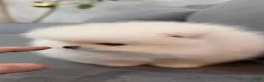 Bon bon