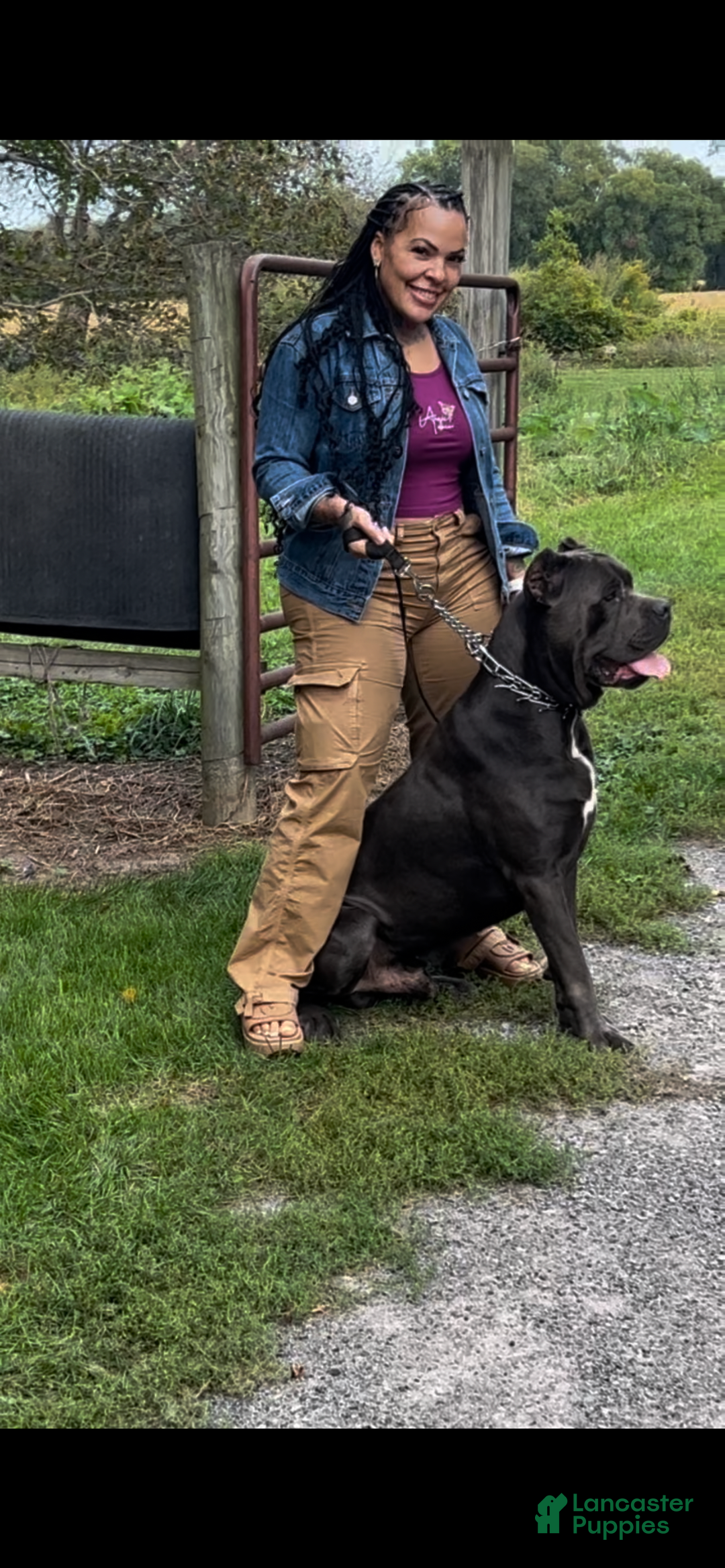 Gallery Image {{count}}