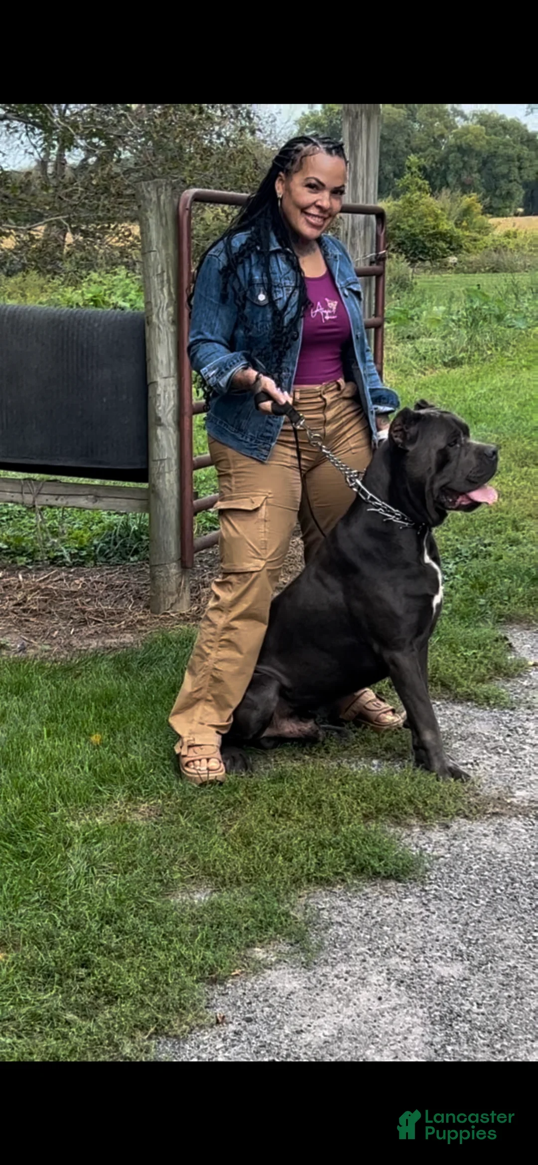 Gallery Image {{count}}