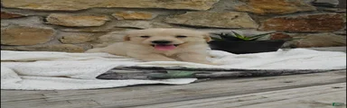 Rubble