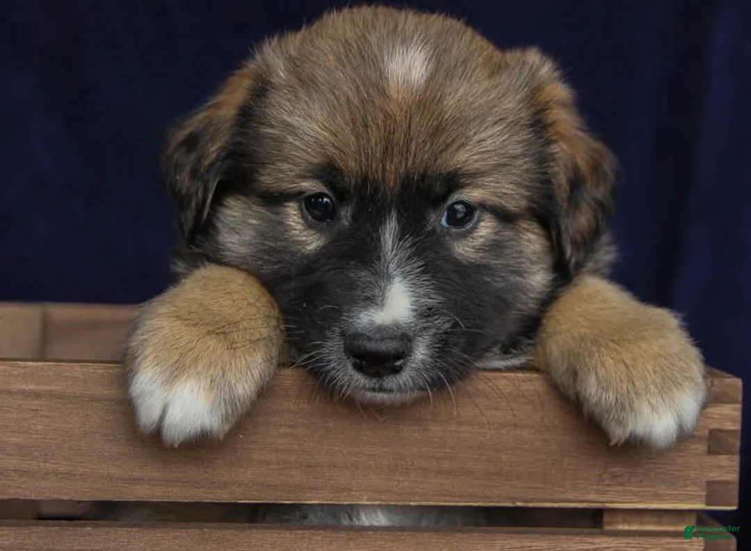 Gallery Image {{count}}