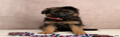 Oma