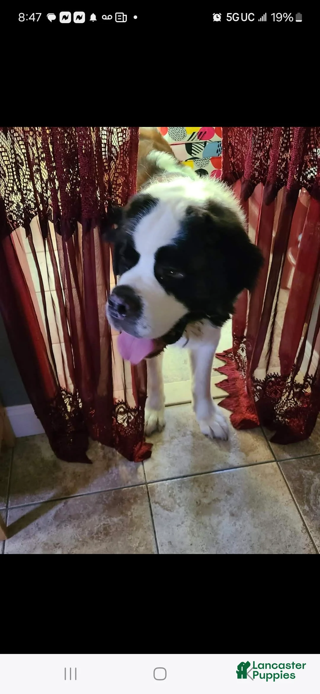 Gallery Image {{count}}