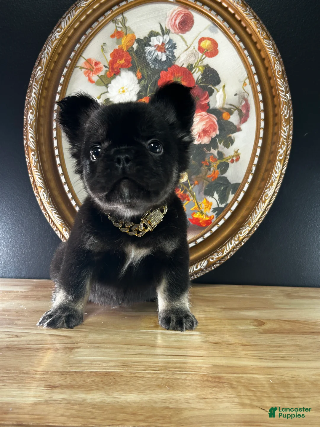 Gallery Image {{count}}