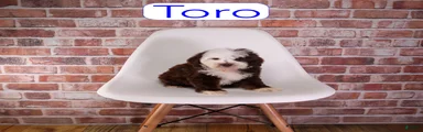 Toro