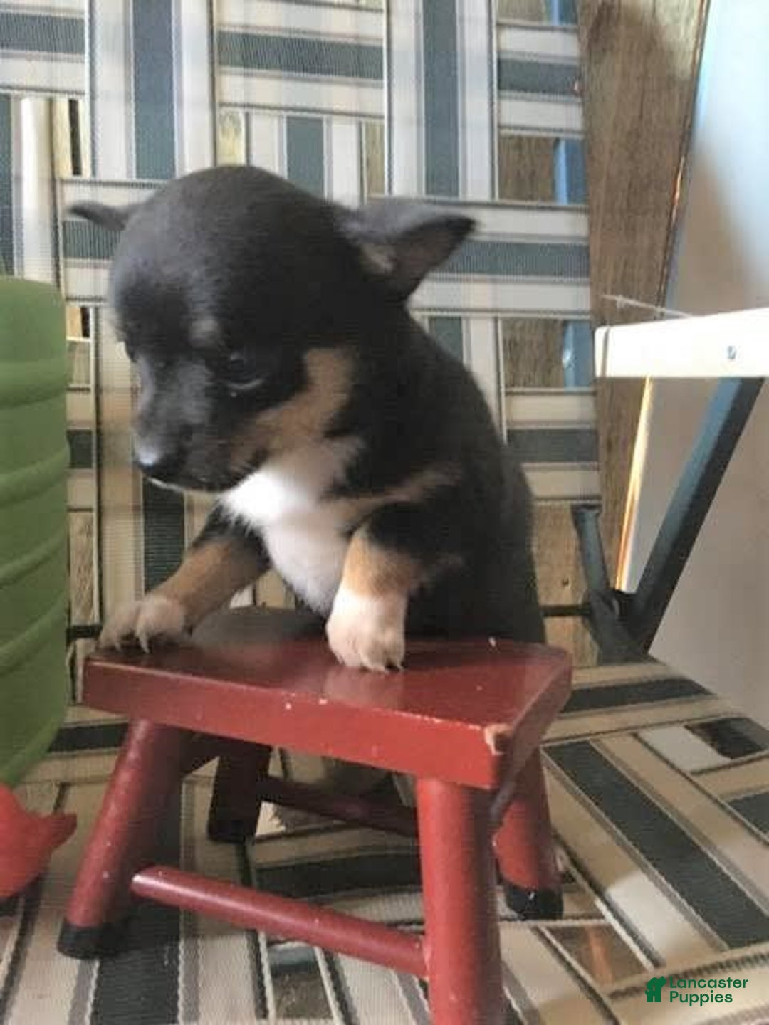 Gallery Image {{count}}