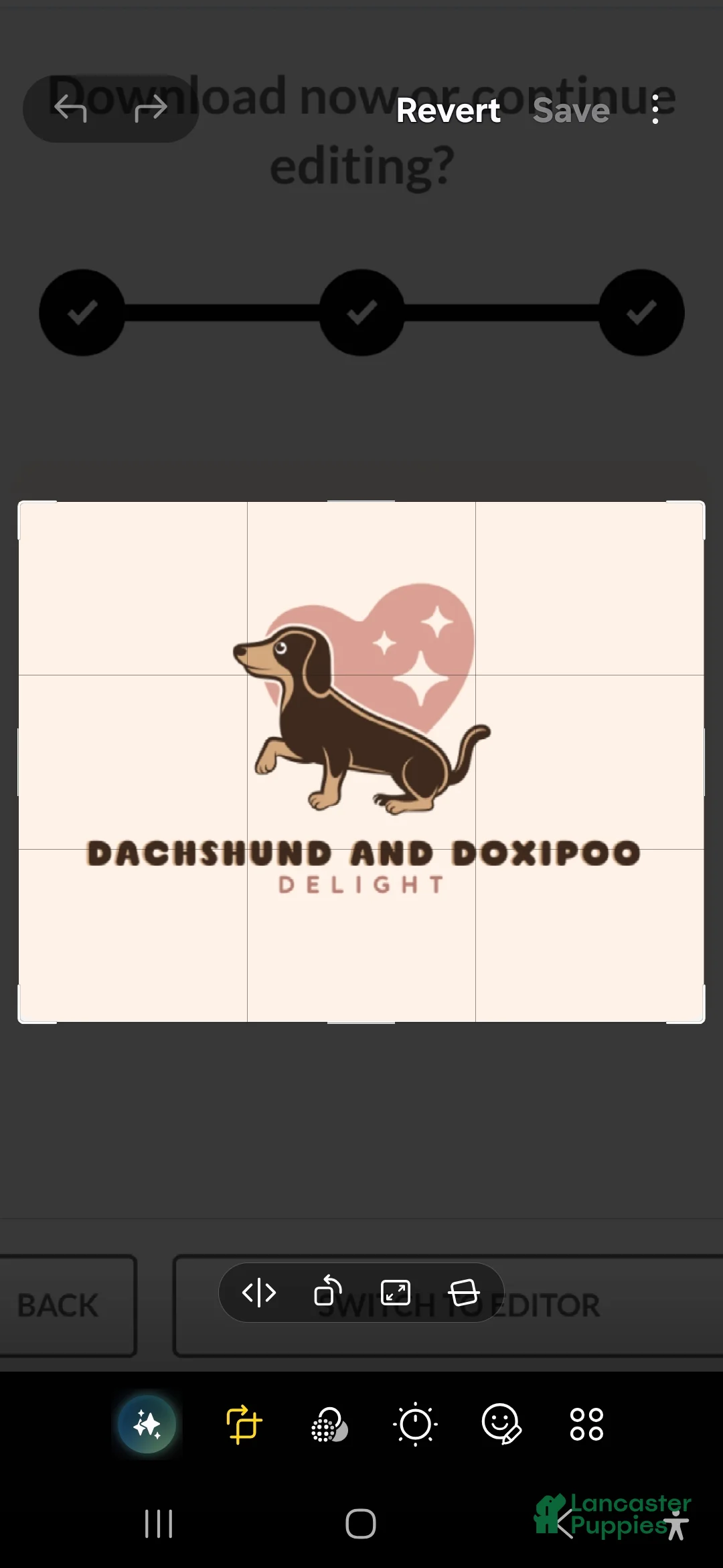 Gallery Image {{count}}