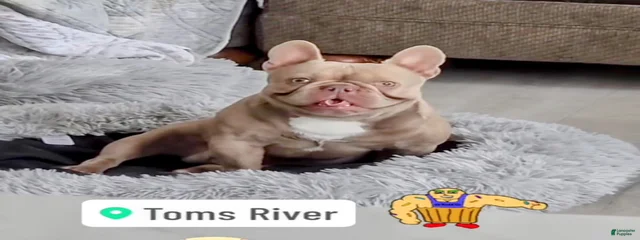Maximus