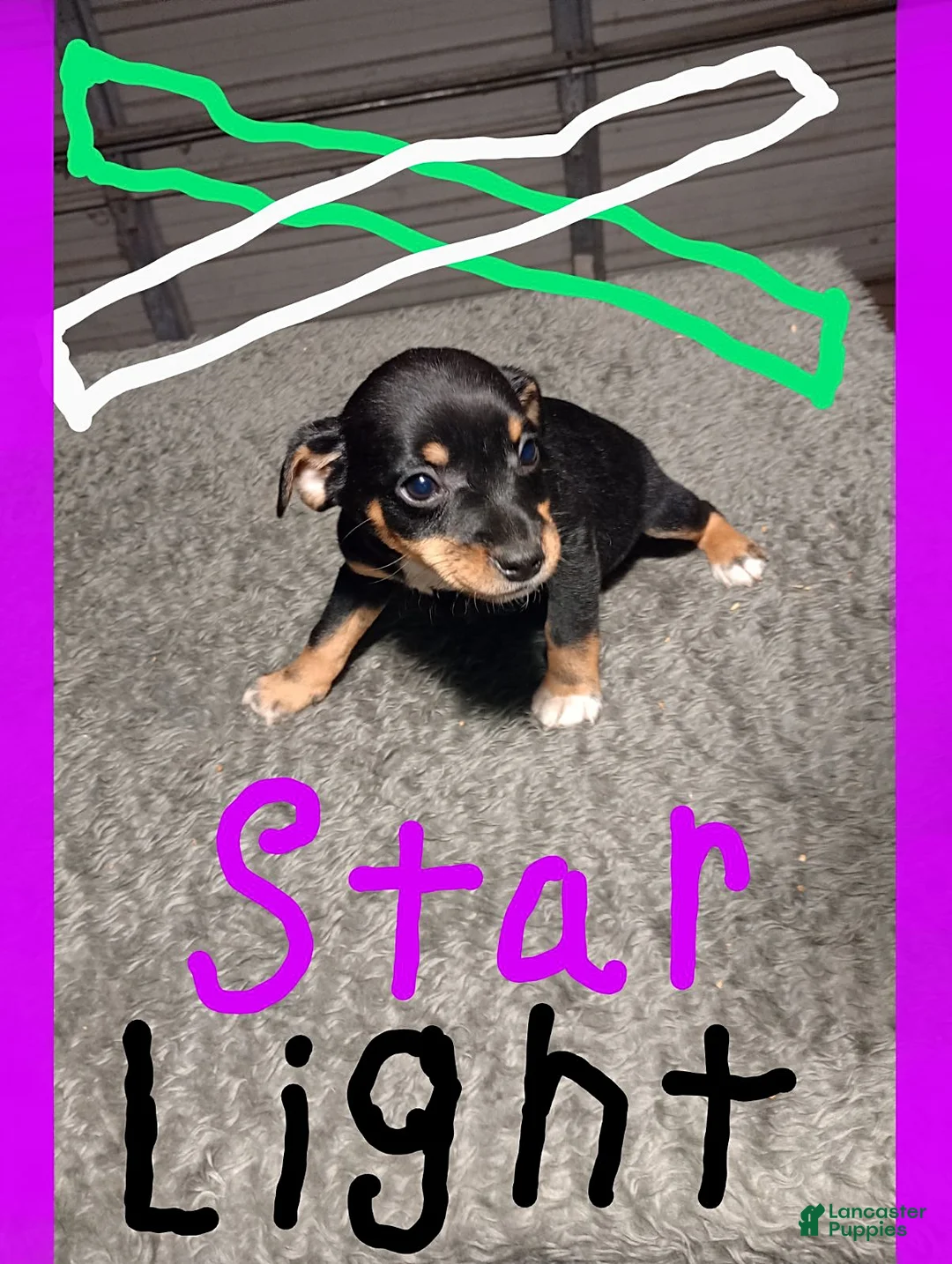 Gallery Image {{count}}