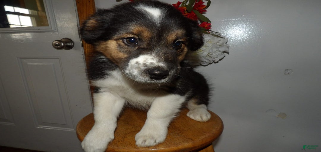 Gallery Image {{count}}