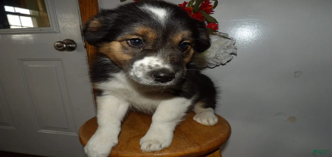 Gallery Image {{count}}