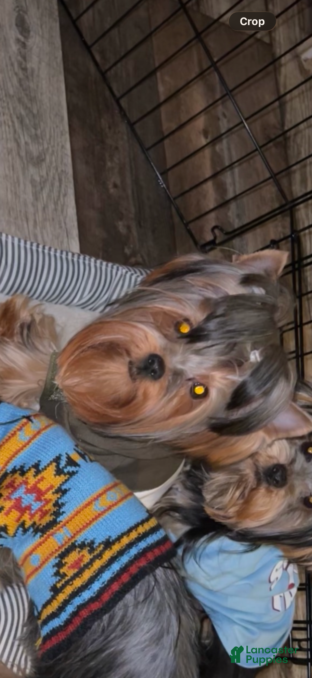 Sam