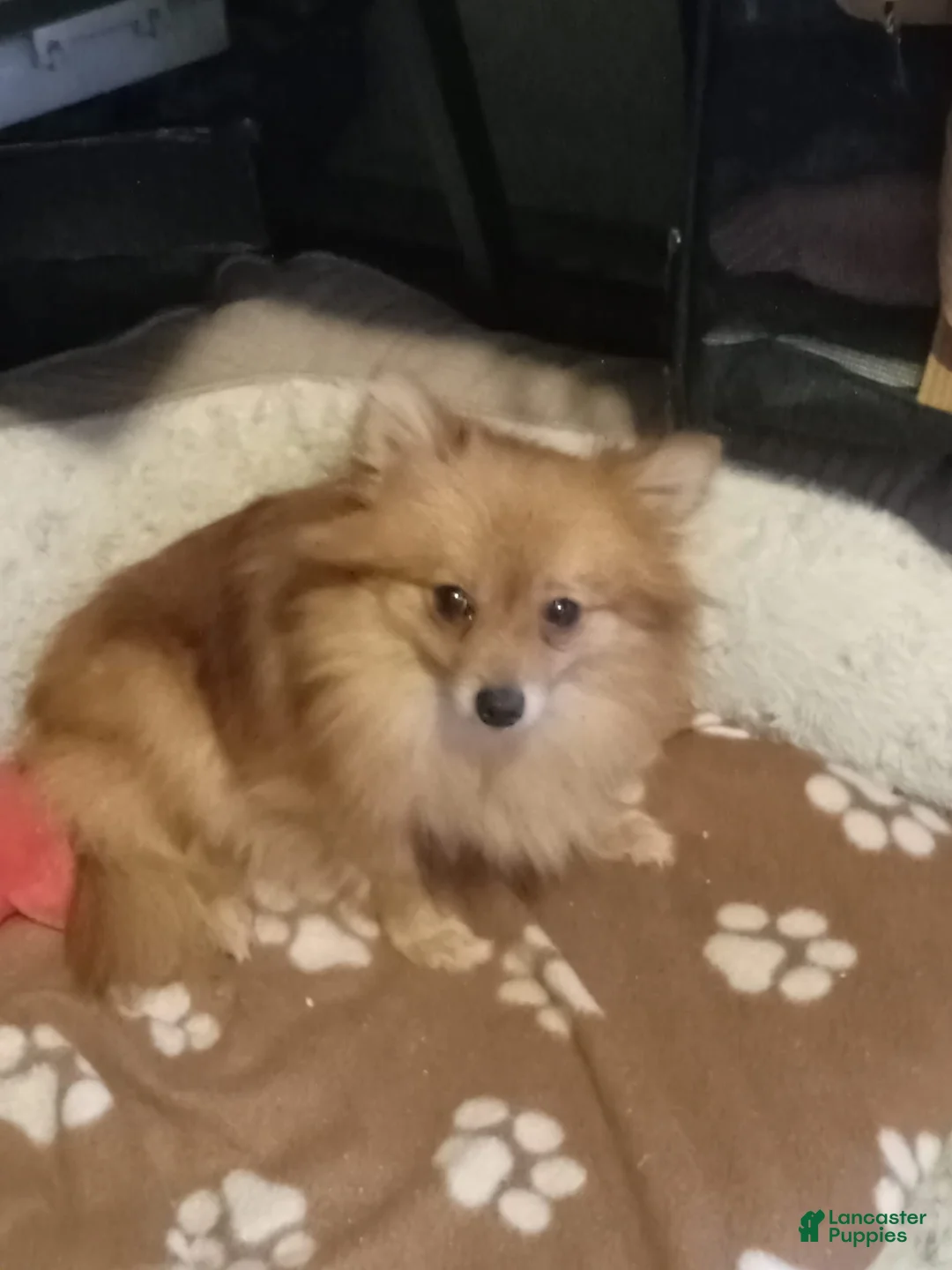 Gallery Image {{count}}