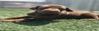 Titan