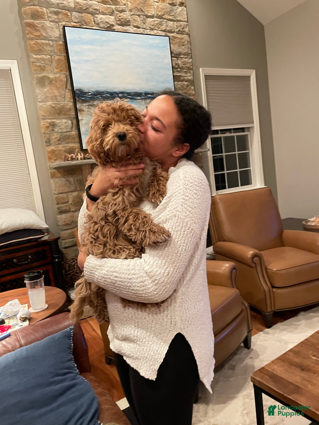 Gallery Image {{count}}