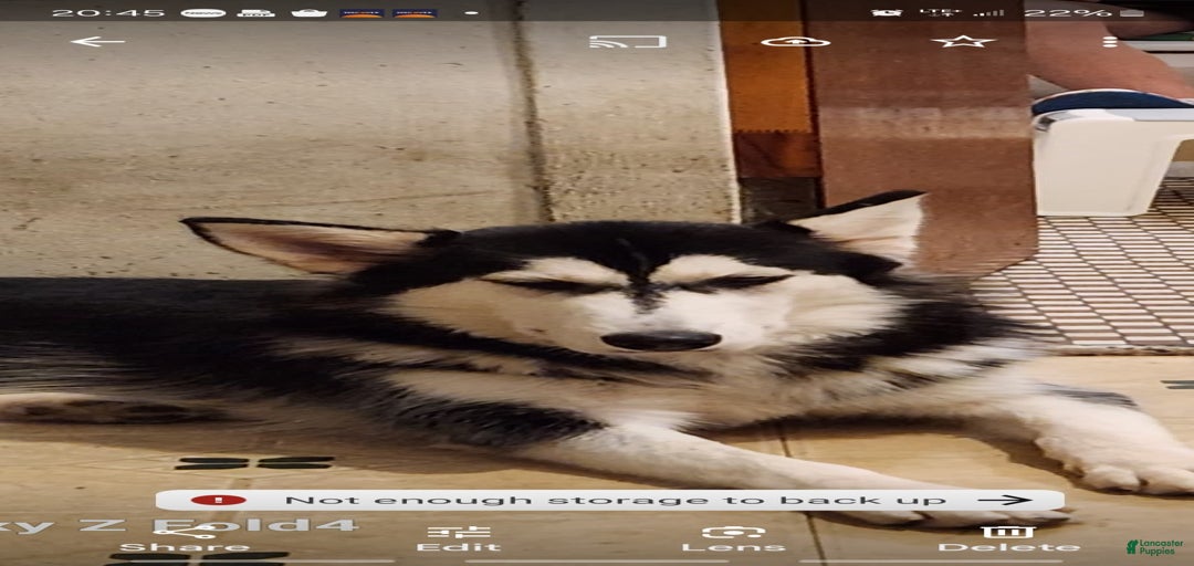 Gallery Image {{count}}