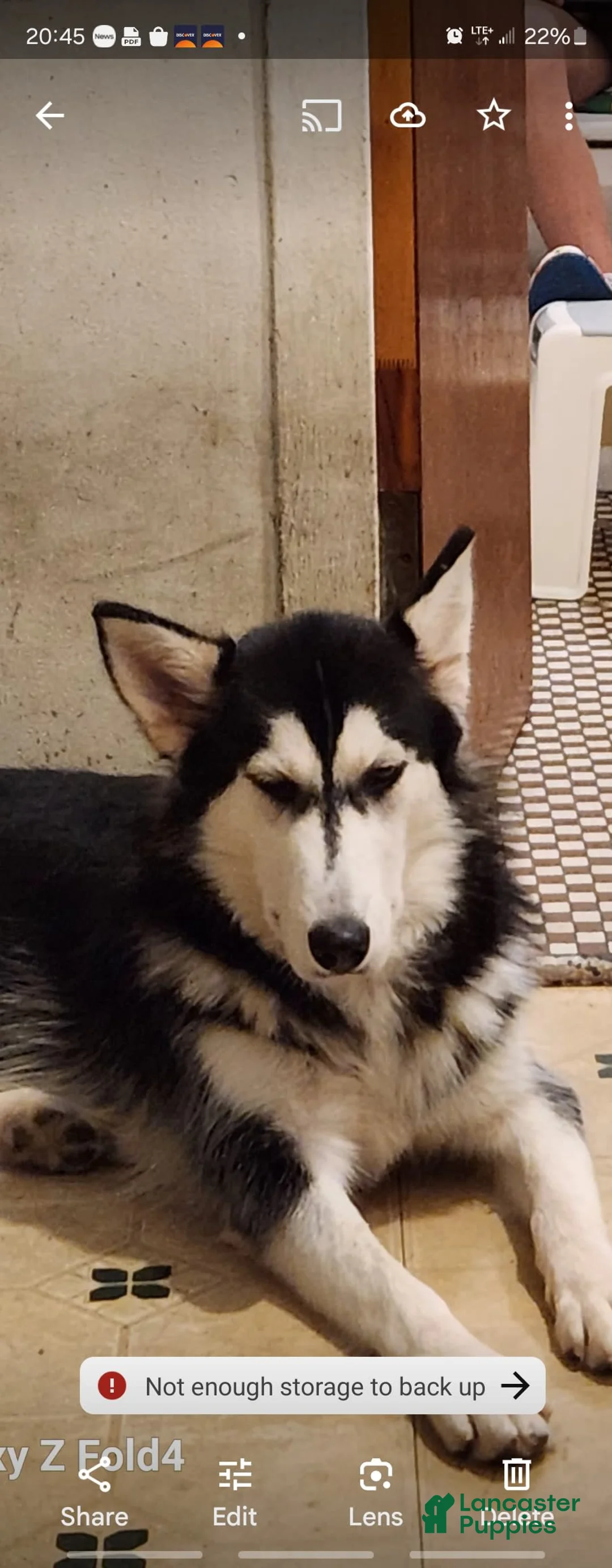 Gallery Image {{count}}