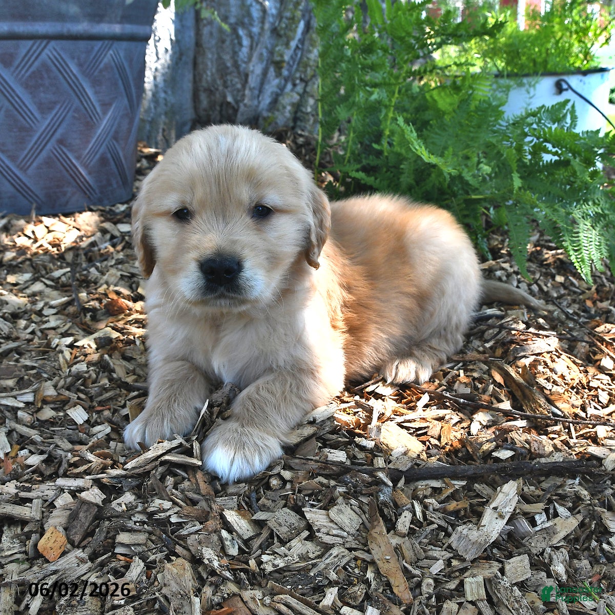 Charlie