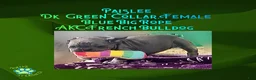 French Bulldog dogs for sale: Paislee “Dark Green” Collar, Female  - Ad 5