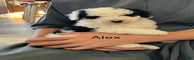 Alex