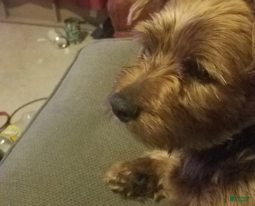 Gallery Image {{count}}