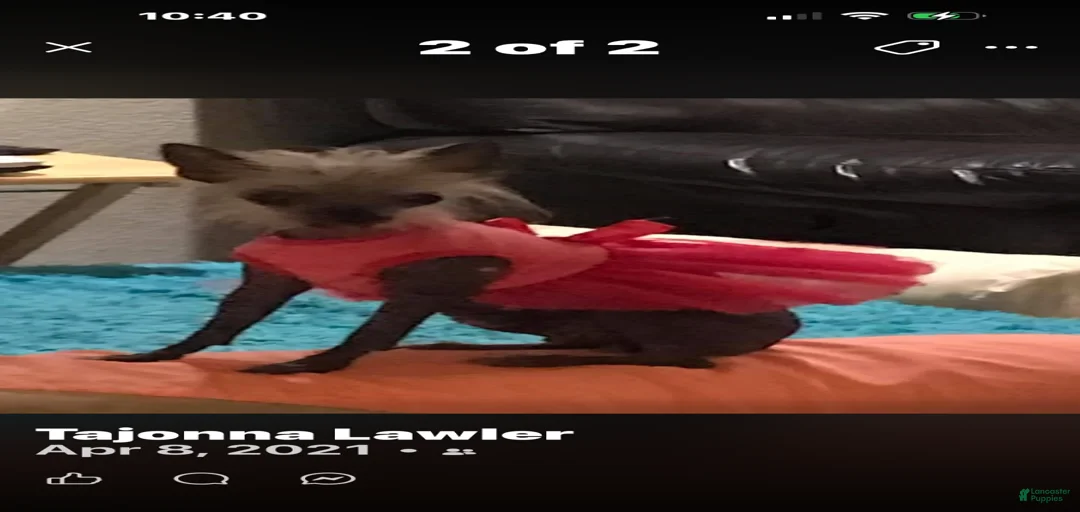 Gallery Image {{count}}