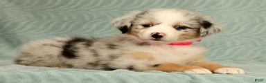 Skye