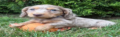 Sebastian