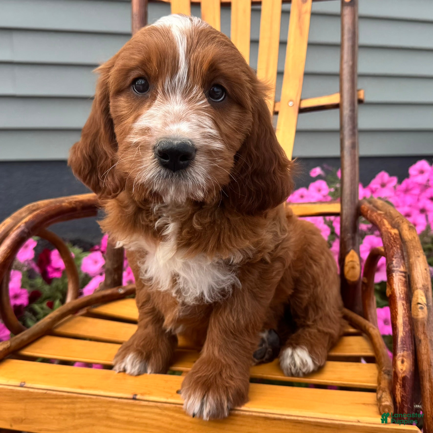Rusty