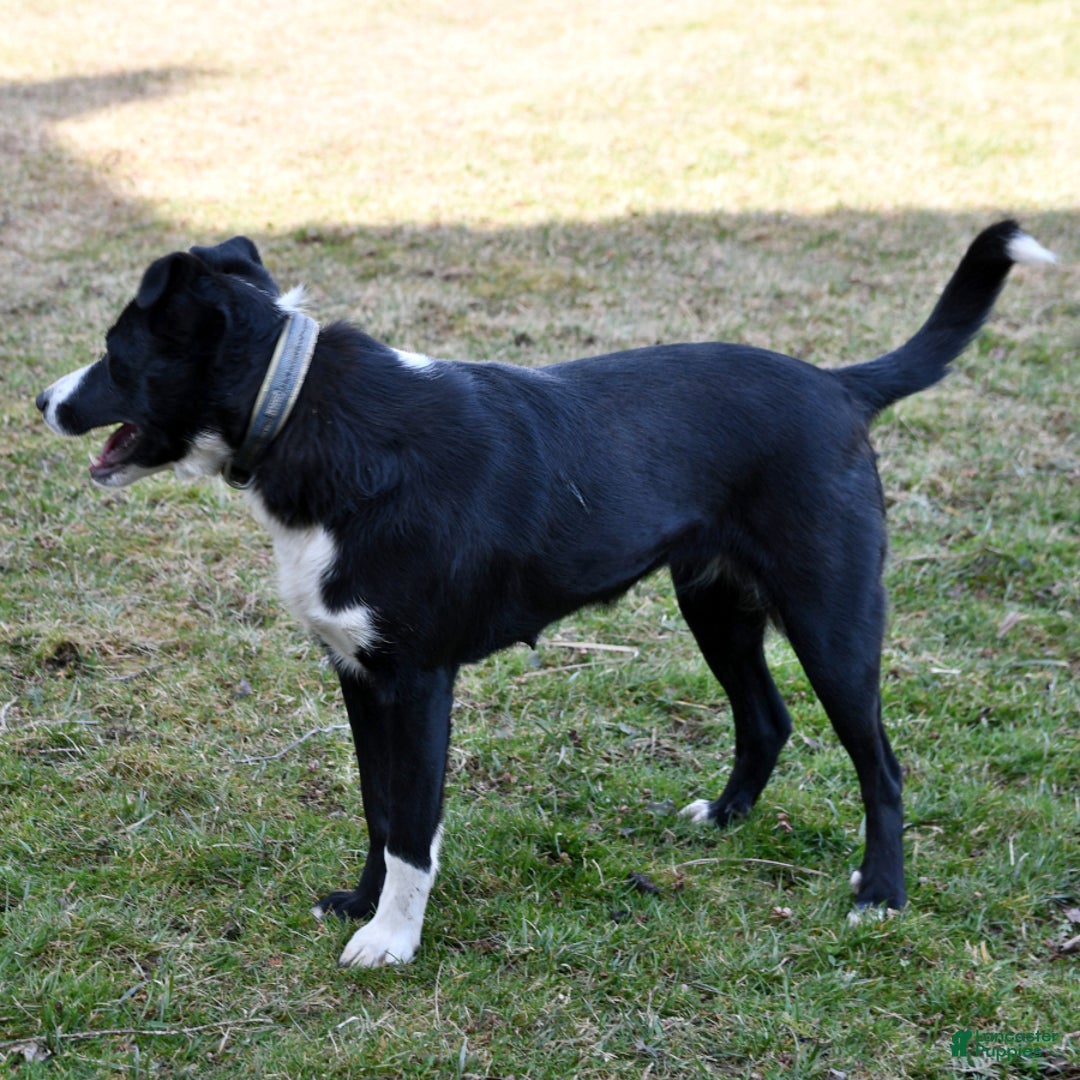 Gallery Image {{count}}