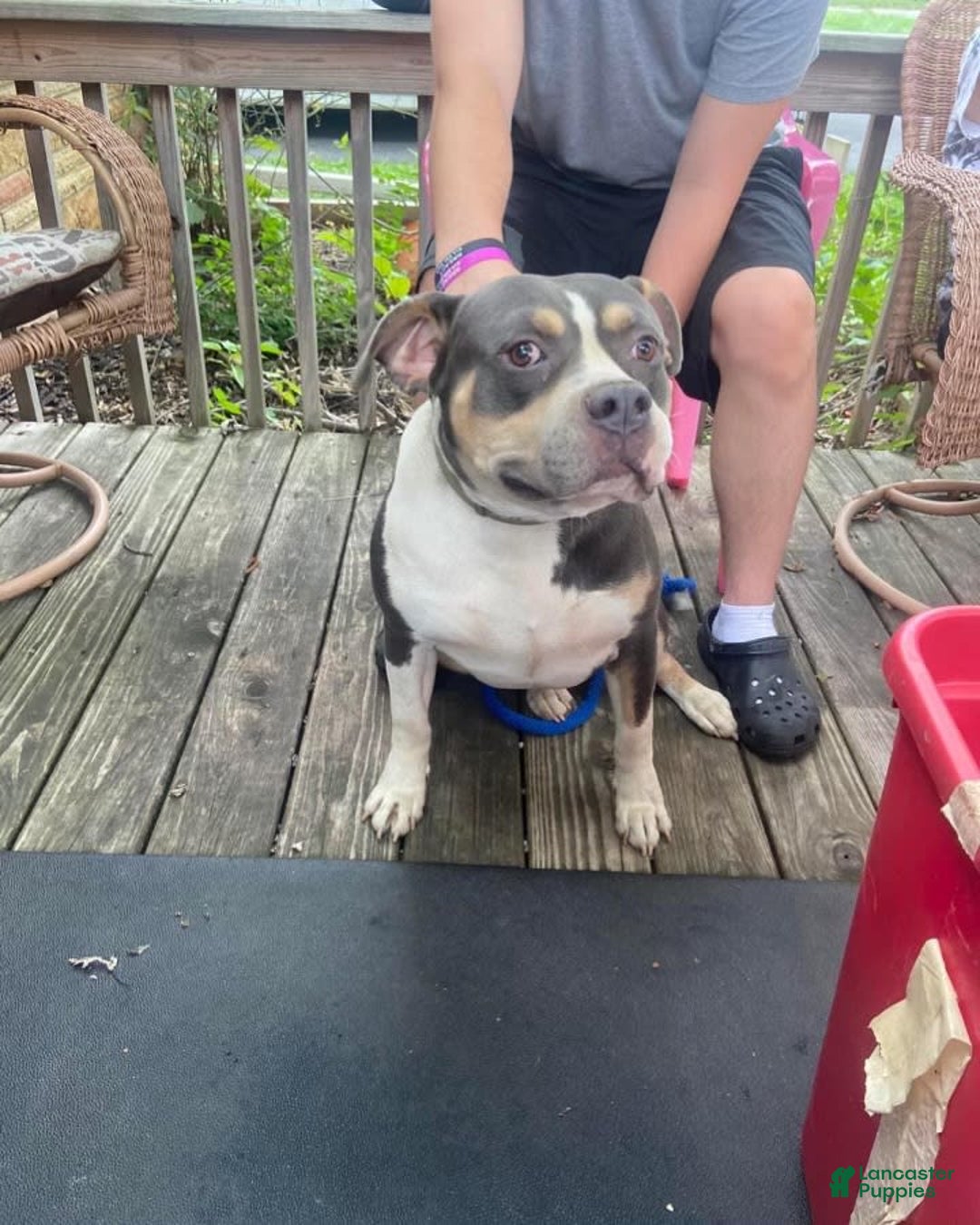 Gallery Image {{count}}