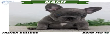 Nash