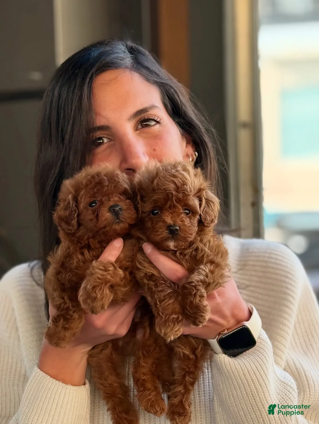 Gallery Image {{count}}