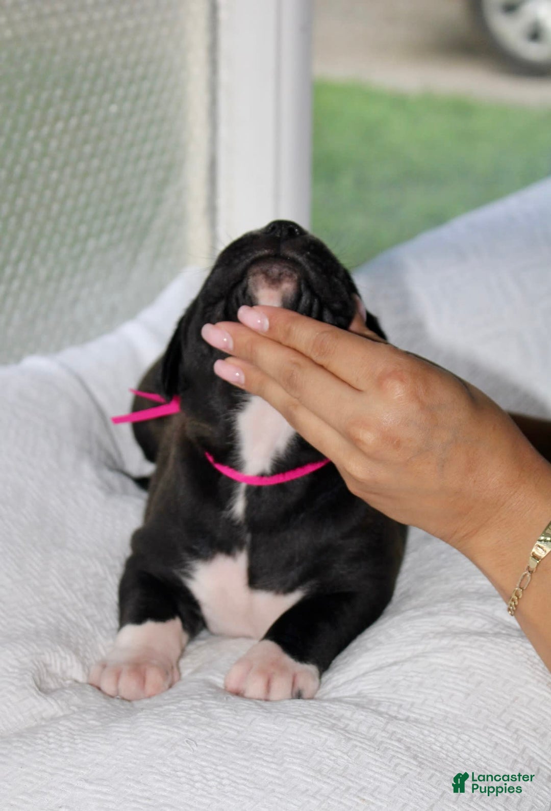 Gallery Image {{count}}