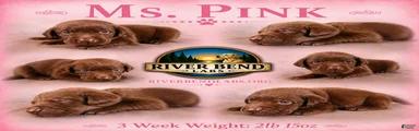 Ms. Pink