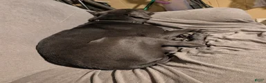 Black aka George
