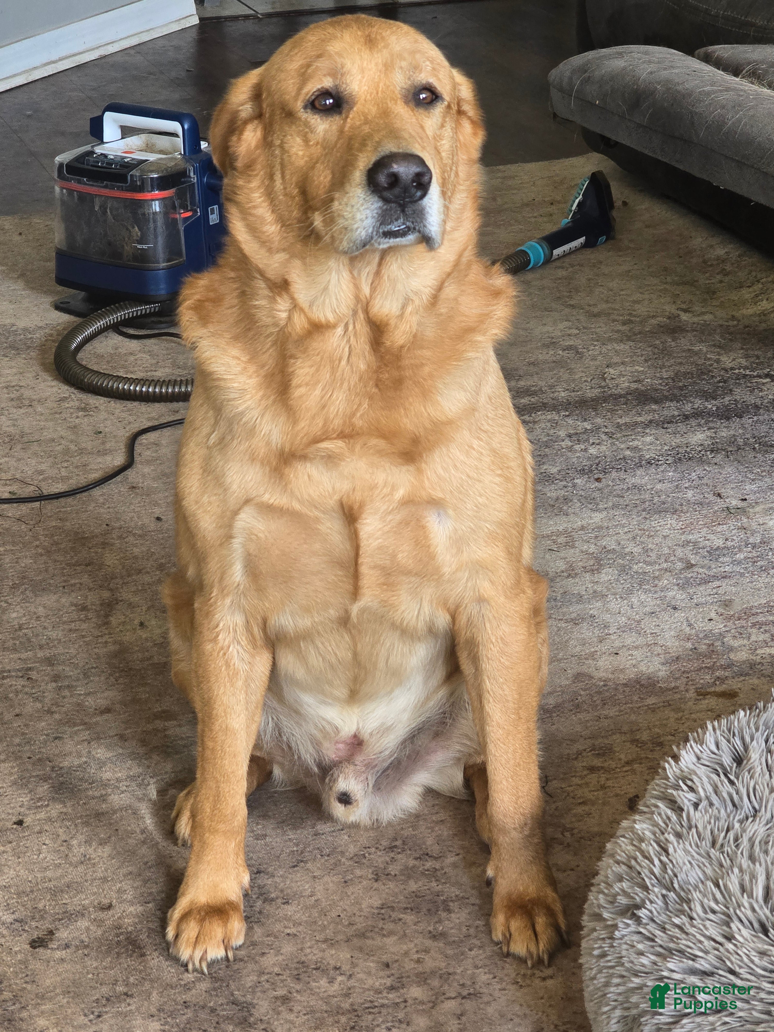 Barry