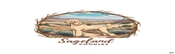 Standard Poodle dogs for sale: Standard Poodle 1 - Ad 1