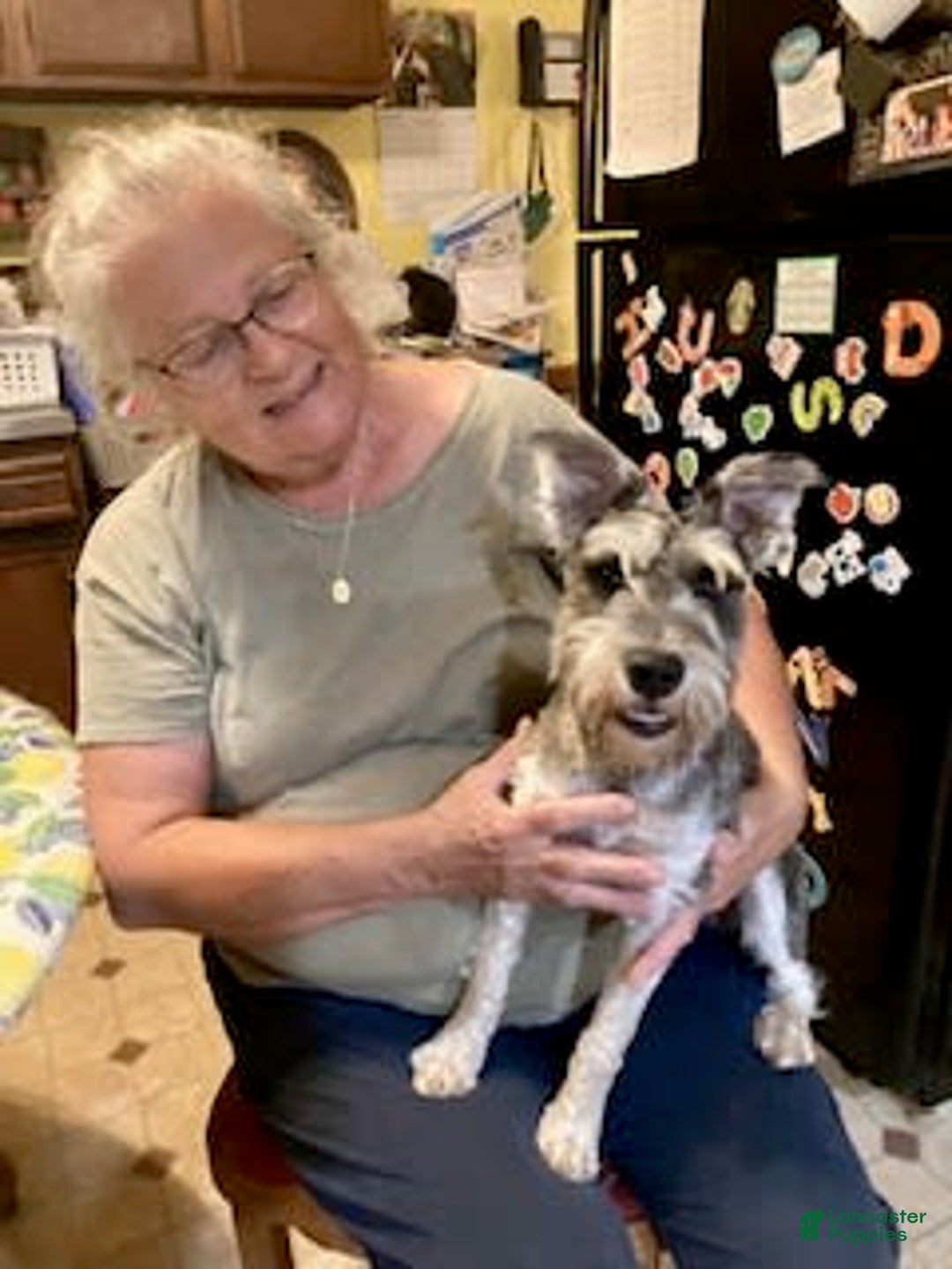 Gallery Image {{count}}