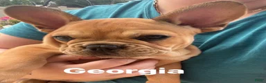 Georgia