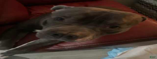 Max