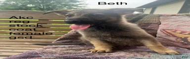 Beth 
