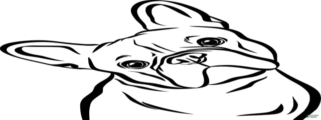 Frenchie